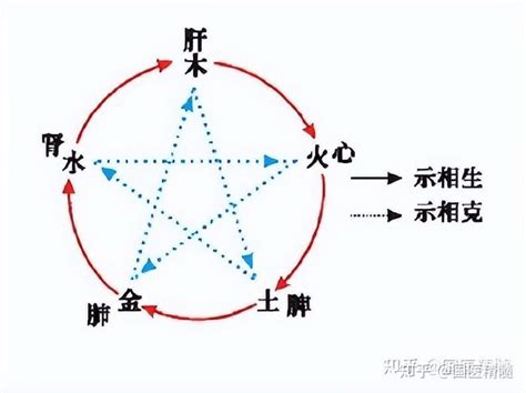 東南屬性|【南方 五行】原來南方五行屬這個！搞懂五行，方位屬性超好記！